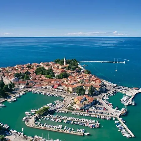 Villa Angelina With 3 Bedrooms And Pool In Novigrad Bužinija