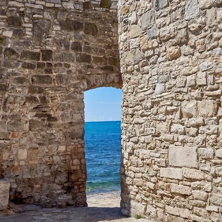 Angelina With 3 Bedrooms And Pool In Novigrad * Bužinija