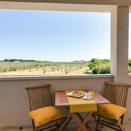 Villa Angelina With 3 Bedrooms And Pool In Novigrad